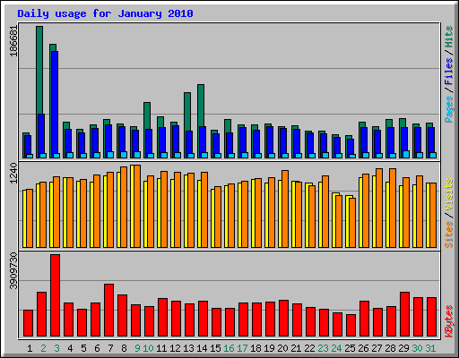 Daily usage for January 2010