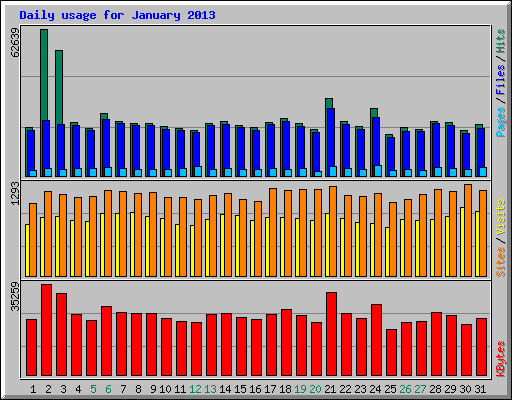 Daily usage for January 2013
