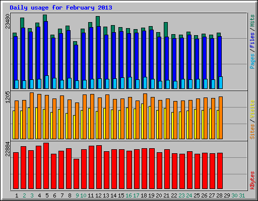 Daily usage for February 2013