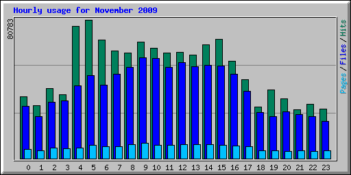 Hourly usage for November 2009