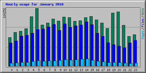 Hourly usage for January 2010