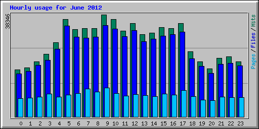 Hourly usage for June 2012