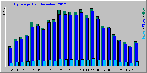 Hourly usage for December 2012