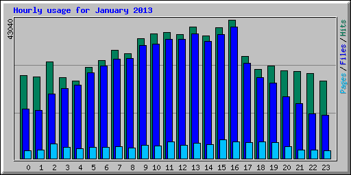 Hourly usage for January 2013